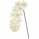 【アーティフィシャルフラワー 造花 フラワー(アーティフィシャル)】 ファレノプルミエールL CREAM fm004830-zzz 胡蝶蘭 ファレノ【東京堂】