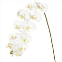 【アーティフィシャルフラワー 造花 フラワー(アーティフィシャル)】 ピュアファレノプルミエールL WHITE fm005830-zzz 胡蝶蘭 ファレノ【東京...