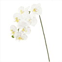 【アーティフィシャルフラワー 造花 フラワー(アーティフィシャル)】 ピュアファレノプルミエールM WHITE fm005831-zzz 胡蝶蘭 ファレノ【東京...