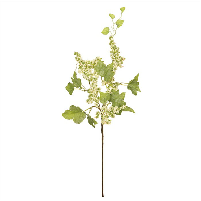 ڥƥեե¤֡¤Ρʪڡѥۡѥޥ٥꡼ץ졼23CRGR fm007311-023 ¤Ρ...