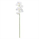 【アーティフィシャルフラワー 造花 フラワー(アーティフィシャル)】 リオオーキッド #1 WH/YL fm009109-001 オーキッド 蘭【東京堂】