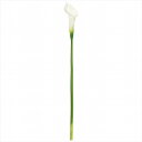 【アーティフィシャルフラワー 造花 フラワー(アーティフィシャル)】 グレイスカラー M #1 WHITE fm009301-001 カラー【東京堂】