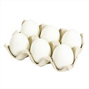 【アーティフィシャルフラワー 造花 実もの 果物 野菜 パン】 玉子パック #1 WHITE fo008400-001 その他【東京堂】