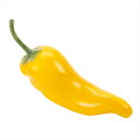 【アーティフィシャルフラワー 造花 実もの 果物 野菜 パン】 チリペッパー #4 YELLOW fv002224-004 野菜その他【東京堂】