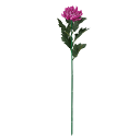【アーティフィシャルフラワー 造花 フラワー(アーティフィシャル)】 山科菊 #11 LAV fm0f4050-011 マム 菊【東京堂】