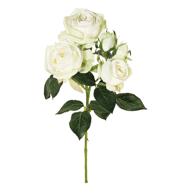 ڥƥեե¤֡եʥƥեˡۡ꡼̥123WHGR fm009448-123 ...