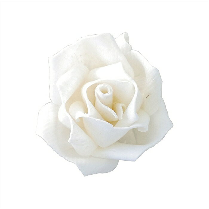 【ドライフラワー ナチュラル素材 ナチュラル素材】 ソラ ニューローズ S 白 yf137960-zzz ハンドメイドフラワー【東京堂】