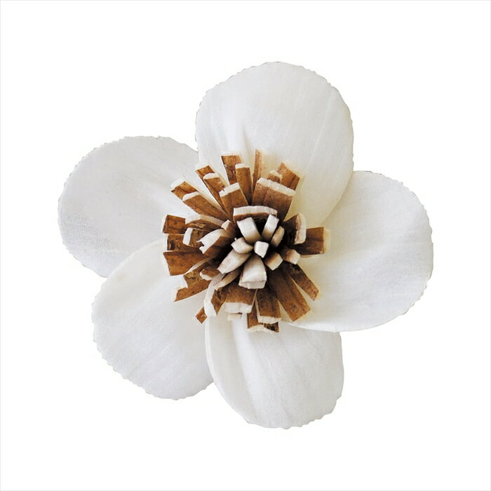 【ドライフラワー ナチュラル素材 ナチュラル素材】 ソラ ウメ 白 yf138240-zzz ハンドメイドフラワー【東京堂】