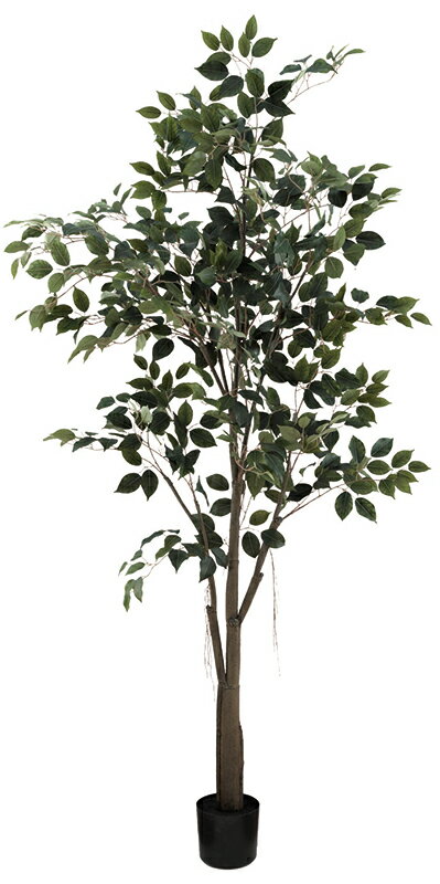 フィカスベンジャミンポット180cm　 　viva-vdz-0007造花　アーティフィシャルグリーン