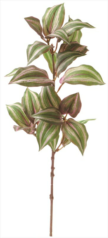 ֥ʥץ졼 viva-vt-r336¤֡ƥեեviva