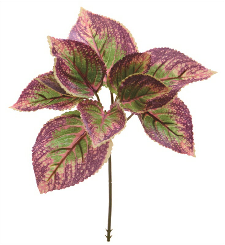 ꥦԥåѡץ롡 viva-vt-r357¤֡ƥեեviva