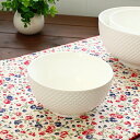 LA BETTOLA(ラ・ベットラ)ビアンコ ボウル(小)(落合勉 洋食器 ボウル サラダボウル カフェ カフェ風 カフェ食器 業務用 業務用食器 白い食器 アウトレット 訳あり)