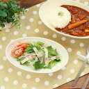 オーバルサラダボウル(洋食器 白い食器 お皿 ボウル ミニカレーボウル カレー皿 パスタ カフェ風 カフェ食器 cafe風 子供用食器 子供用カレー皿 業務用 業務用食器 アウトレット 多治見美濃焼 日本製)