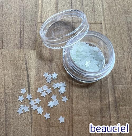【ケース入り 大 直径約3.5mm 】蓄光 夜光 スターフレーク ネイル スパンコール 封入素材 プラスチック製
