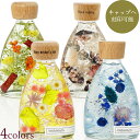 木製キャップへのメッセージ刻印可能 ハーバリウム コチ瓶 全4色/母の日 誕生日 ギフト 送料無料 プレゼント ナチュラル お花 プリザーブドフラワー アレンジ...
