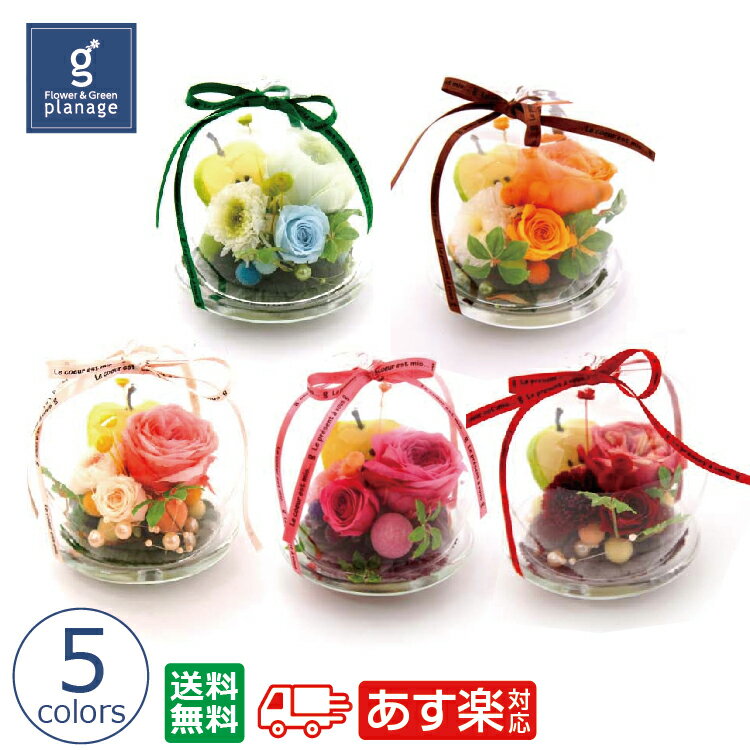 グラスドーム 白雪姫 林檎 5色プリザ プリザードフラワー プリザーブドフラワー ギフト アップル りんご 贈り物 あす楽 ブライダル 結婚祝い 誕生日 記念日 プレゼント 敬老 バレンタイン