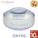 【ポイント10倍】【5年保証】スカイ5G《ソマヴェディック》[ソマヴェディック/ヒーリング/ソマヴェディック/スピリチュアル/パワーストーン/ソマヴェディック/...