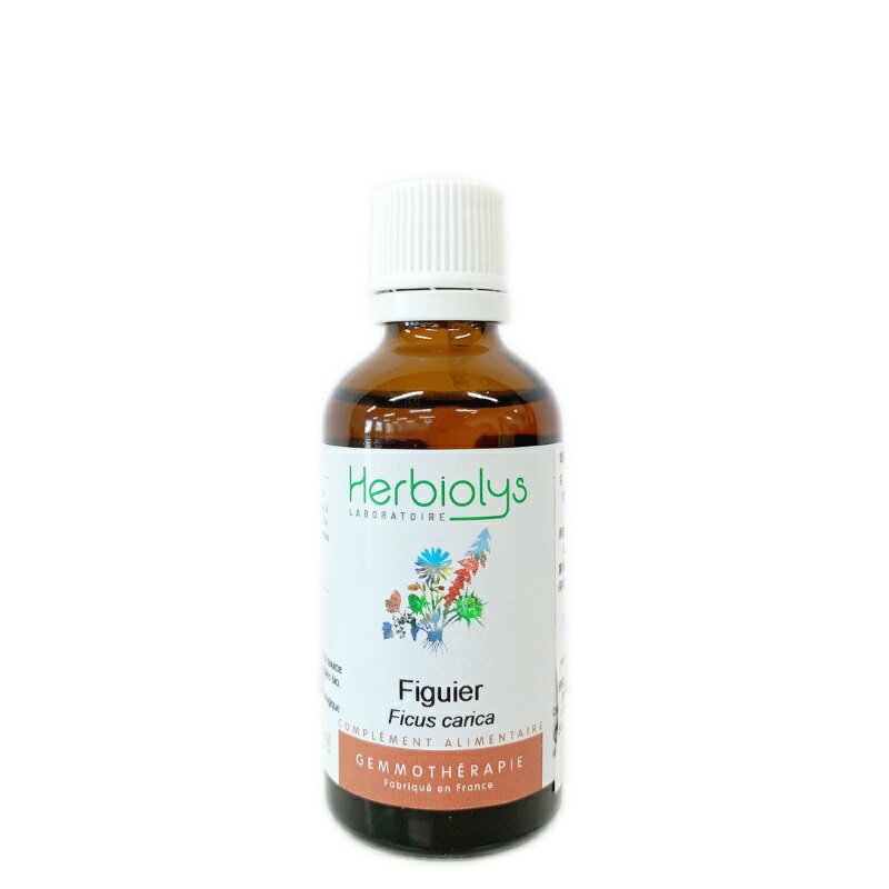 【取寄せ品】イチジク《エルビオリス ジェモセラピー》50ml [Herbiolys/植物幹細胞/ハーブ/サプリメント/ジェムレメディ/オーガニック/フランス/ジェモセラピー]