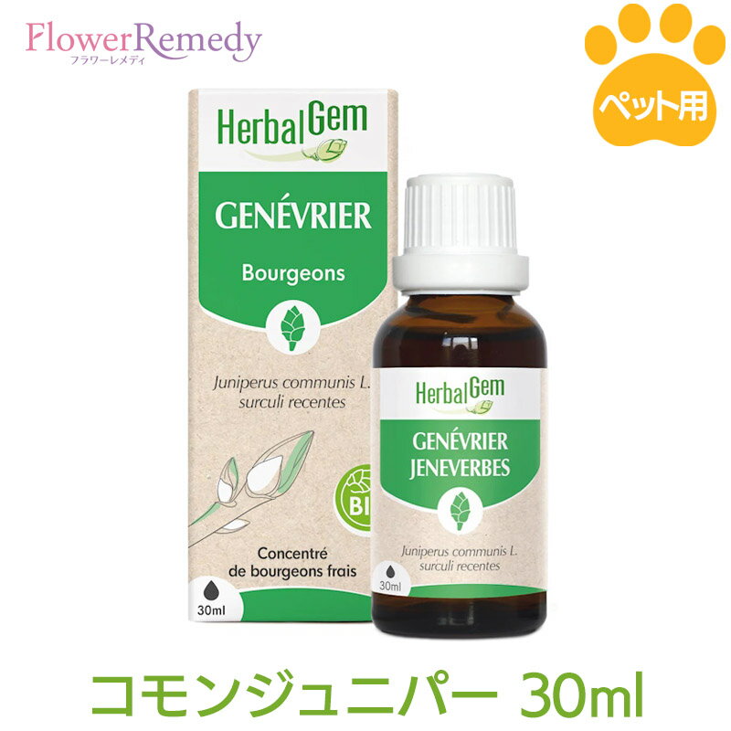 コモンジュニパー（ペット用ジェモセラピー）《ハーバルジェム》30ml [ジェモセラピー/HerbalGem/ベルギー/ペット/動物/ハーブ/サプリメント/犬/猫/ジェムレメディ]