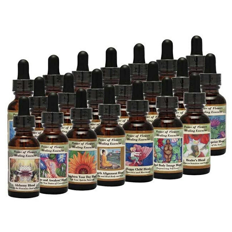 その他ブレンドキット(シルバーソード含む)全21本《パワーオブフラワーヒーリングエッセンス》30ml×21本セット[パワーオブフラワーヒーリングエッセンス｜フラワーエッセンス｜インナーチャイルドカード｜占星術]のサムネイル