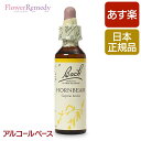 バッチフラワーレメディ ホーンビーム（決意） アルコールベース(20ml)/人気フラワーエッセンス バッチフラワーレメディ 正規輸入品【メール便対象】 バッチ/フラワー/レメディ/フィトセラピー/正規品/フラワーレメディ