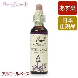 バッチフラワーレメディ ウォーターバイオレット（つながり） アルコールベース(20ml)/フラワーエッセンス バッチフラワーレメディ 正規輸入品【メール便対象】[バッチ/フラワー/レメディ/フィトセラピー/正規品/フラワーレメディ]