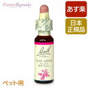 ペット用 バッチフラワーレメディ クラブアップル（清浄）10ml/人気フラワーエッセンス バッチフラワーレメディ 正規輸入品【メール便対象】 バッチ/フラワー/レメディ/フィトセラピー/正規品/フラワーレメディ