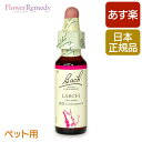 「ラーチ（ペット用）《バッチフラワーレメディ》10ml」とは？ 気が弱く、自信がなくてビクビクしているペットに、自信を与えてくれるフラワーエッセンス。本当はやりたいことでも臆病になって挑戦できない時、コンテストやショーなどで出番が来ると逃げ出してしまう時、また飼い主の虐待によって劣等感を与えられてしまった動物にも良いです。失敗しても乗り越えられる勇気を持てるようになります。 ペット用バッチフラワーレメディとは？ バッチフラワーレメディのフラワーエッセンスは、犬や猫となどのペットの感情も癒してくれます。ペットも人間と同じように感情をもつ動物なので、同じように様々なストレスが溜まります。そのストレスが原因で問題行動につながってしまうこともあります。 雷の音を怖がる、留守番を嫌がり寂しがる、引っ越しや旅行など環境の変化に対応できない、誰にでも吠える、しつけができない、トラウマを抱えている。 そんなペットや動物にバッチフラワーレメディのフラワーエッセンスが、優しく癒してくれます。バッチフラワーレメディの助けを借りて、原因となっている感情を少しでも和らげることで、ペットの気持ちを安定させ、穏やかな状態に導いてあげてください。 バッチフラワーレメディはペットに安全ですか？ バッチフラワーレメディは、植物のエネルギーから作られています。太陽の光を当てて植物のエネルギーを転写したり、植物を沸騰させ煮出す方法で母液が作られます。成分は、グリセリンと水とそれぞれの花のエネルギーです。 犬、猫などに安心してお使いいただけます。 ※バッチフラワーレメディの人間用とペット用は、容器、内容物ともに全く同じものになります。 ペット用バッチフラワーレメディの使い方 飲水やごはんなどに入れて飲ませましょう。バッチフラワーレメディ（38種類のフラワーエッセンス）は1回2滴、レスキューレメディやレスキューナイトなどのレスキューシリーズ（ブレンドエッセンス）は1回4滴が用量の目安です。 利用頻度は1日3から4回程度が目安です。 飲水に入れる際、一度に飲みきらない場合は多めに入れるようにします。口に直接垂らしてあげる場合は、スポイトの先が口についたり、かじったりしないようにご注意ください。レメディを直接摂ることができない場合は、ペットのよく舐める箇所に塗るか、唇、鼻、肉球、耳の後ろなどに塗ってあげましょう。 症状が強く出ている場合には、口を開いて舌に数滴落としてあげます。口を開かない場合には、口の周りにつけてあげれば自然となめてくれます。手のひらに数滴とって、その手でペットをなでてあげてもよいです。 またバッチフラワーレメディは6から7種類まで組み合わせて（ブレンドして）使うことができます。（その場合、レスキューレメディも1種類としてカウントします。） 物事を始める前から自分の能力を信じられず挑戦できなくなっている時にはラーチを飲ませてみてください。やればできるものだと、チャレンジを肯定的にとらえられるようになります。原因がはっきりした恐怖心に用いる「ミムラス」との併用が特におすすめです。 初めての事、新しい事が苦手な子にはラーチをオススメしています。例えば初めて会った人を避けたり、新しいフードだとなかなか食べなかったり、いつもと違うお散歩道やドッグランなど、何か新しい事をする時しり込みしてしまうとか。ラーチを飲むと自信が出てきて、「新しい」に挑戦しようという気持ちが湧いてきます。 容量 10ml 原材料 植物性グリセリン（80%）、水、フラワーエッセンス（※砂糖不使用・アルコール不使用） 原産国 英国 製造元 英国バッチセンター 消費期限 ボトルに記載してある日付は未開封の場合の消費期限となります。 保存方法 常温保存でOKですが、直射日光の当たらない冷暗所に保管して下さい。 PCや冷蔵庫など電化製品の電磁波をなるべく避けましょう。 より良い商品をお客様へお届けするために、より多くのお客様の声を伺いたいです。 ぜひ、レビューを書いて頂けたらと思います。 商品ご購入後、商品のレビューをご記入いただいた方全員に 次回のお買い物で使える「1ヵ月間ずーっと500円OFF」クーポンを差し上げます！ レビューご記入はとっても簡単です！下記のリンクよりご確認下さい。 ※商品レビューの書き方