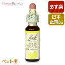 バッチフラワーレメディ ホワイトチェストナット（静謐）10ml/フラワーエッセンス バッチフラワーレメディ 正規輸入品