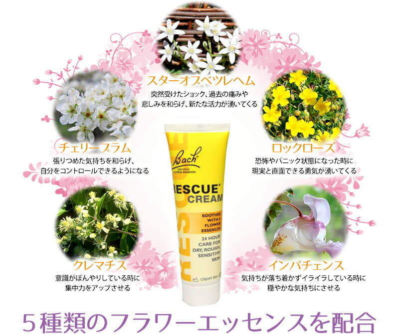 フラワーエッセンス レスキュークリーム(30g)正規輸入品 バッチフラワーレメディ[保湿クリーム/リップケア/スキンケア/バッチ/フラワー/レメディ/フィトセラピー/正規品/フラワーレメディ]