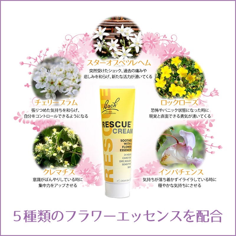 レスキュークリームまとめ買い 人気ブランドの新作 レスキュークリーム 50g 3本セット《バッチフラワーレメディ》 正規輸入品 バッチレスキューレメディ フラワーエッセンス 猫 ボディクリーム 動物 保湿クリーム ハンドクリーム 犬 ペット レスキュークリームまとめ買い 人気ブランドの新作 レスキュークリーム 50g 3本セット《バッチフラワーレメディ》 正規輸入品 バッチレスキューレメディ フラワーエッセンス 猫 ボディクリーム 動物 保湿クリーム ハンドクリーム 犬 ペット