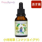 小待宵草（コマツヨイグサ）フラワーエッセンス《シャンドゥルール》20ml [出雲｜国産フラワーエッセンス｜奄美大島]