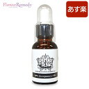 アクセプタンス《DTWフラワーエッセンス》25ml/フォーミュラエッセンス[DTW/カナダ/医師/正規輸入品]