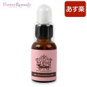 【1/1～1/3まで全品10倍】ファシネーション（女子力UP）《DTWフラワーエッセンス》25ml/フォーミュラエッセンス[DTW/カナダ/医師/正規輸入品]