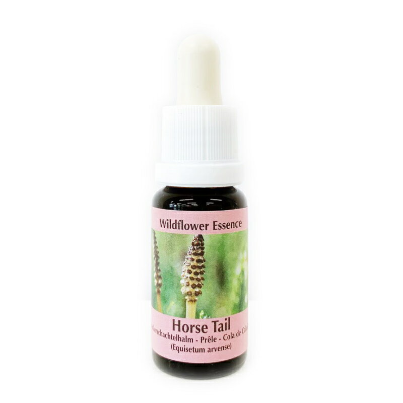 【ブラックフライデー！最大2222円割引クーポン配布中】[コルテPHIエッセンス｜欧州フラワーエッセンス..