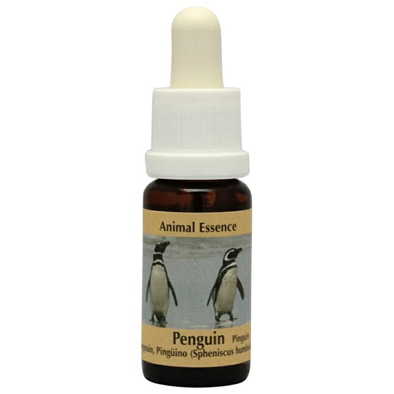 ペンギン《コルテPHIエッセンス》15ml [コルテPHIエッセンス/フラワーエッセンス]