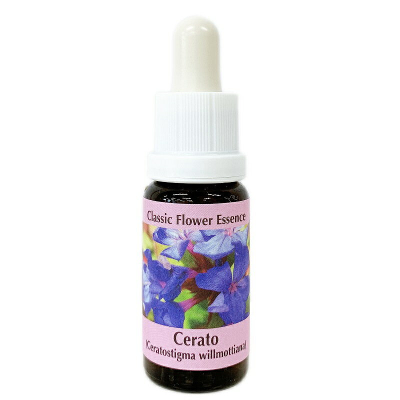 【お買い物マラソン最大2222円クーポン配布中】セラトー《コルテPHIエッセンス》15ml [クラシックエッセンス/フラワーエッセンス/シングルエッセンス/コルテPHI/バッチフラワーレメディ/]