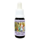 チョコレートオーキッド《コルテPHIエッセンス》15ml