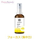 フォーカススプレー（集中力）《オーストラリアンブッシュ フラワーエッセンス》50ml 