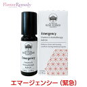 エマージェンシーエッセンス＆アロマセラピーロールオン《オーストラリアンブッシュフラワーエッセンス》10ml オーストラリアンブッシュ/ブッシュフラワーエッセンス/アロマテラピー/ロールオン/ウーマン/レスキュー/緊急/パニック