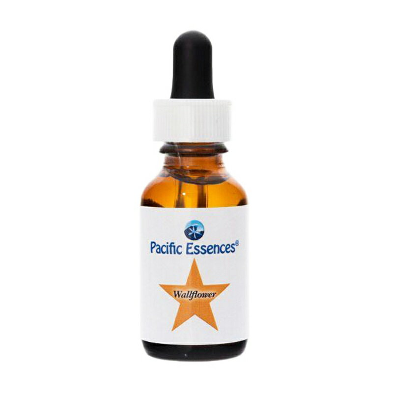 【お買い物マラソン最大2222円クーポン配布中】ウォールフラワー《パシフィックエッセンス》30ml [フラワーエッセンス｜伝統中医学｜カナダ｜パシフィックエッセンス]
