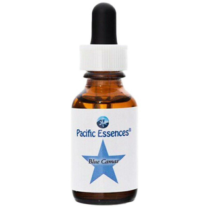 【ブラックフライデー！最大2222円割引クーポン配布中】ブルーカマス《パシフィックエッセンス》25ml【..