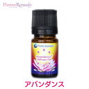 アバンダンスディフューザーオイル《パシフィックエッセンス》5ml フラワーエッセンス/アバンダンス/豊かさ/パシフィックエッセンス/エッセンシャルオイル/精油/ディフューザーオイル