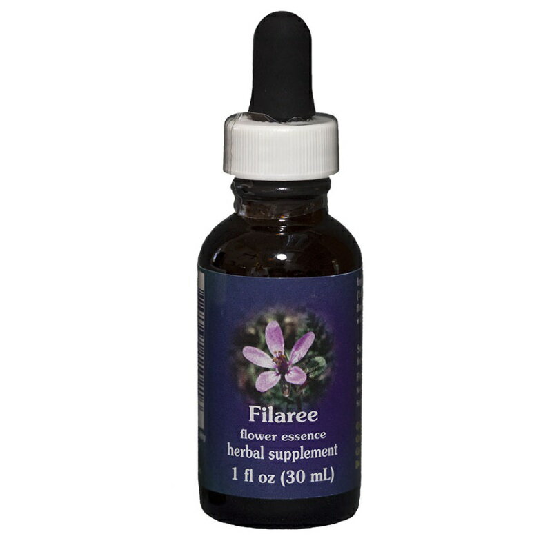 （取り寄せ品）フィラリー 《FESフラワーエッセンス》 30ml [FES/フラワーエッセンス/クイントフラワー..