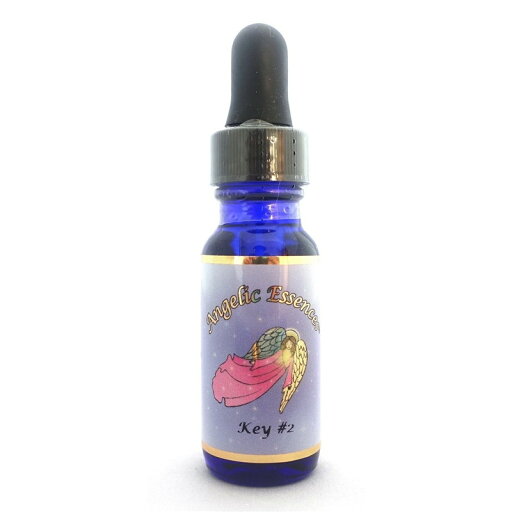 キー#2 《アンジェリックエッセンス》 15ml【メール便対象】【天使/精霊/天界/フラワーエッセンス/高次/アメリカ/アンジェリック】 キー#2 《アンジェリックエッセンス》 15ml【メール便対象】【天使/精霊/天界/フラワーエッセンス/高次/アメリカ/アンジェリック】