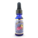 ネクスト レベル 《アンジェリックエッセンス》 15ml【メール便対象】【天使/精霊/天界/フラワーエッセンス/高次/アメリカ/アンジェリック】(4)