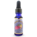 ルート センター 《アンジェリックエッセンス》 15ml 【メール便対象】【天使/精霊/天界/フラワーエッセンス/高次/アメリカ/アンジェリック】(4)