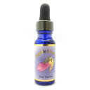 【お買い物マラソン最大2222円クーポン配布中】シー タートル(アンジェリック) 《アンジェリックエッセンス》 15ml 【メール便対象】【天使/精霊/天界/フラワーエッセンス/高次/アメリカ/アンジェリック】