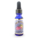ストレングスニング コネクション トゥ ザ ディウ゛ァイン 《アンジェリックエッセンス》 15ml 【メール便対象】【天使/精霊/天界/フラワーエッセンス/高次/アメリカ/アンジェリック】(4)