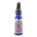 アンリミテッド サポート 《アンジェリックエッセンス》 15ml 【メール便対象】【天使/精霊/天界/フラワーエッセンス/高次/アメリカ/アンジェリック】(4)